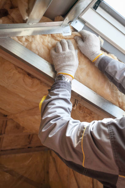 Best Geographic-Specific Insulation Services in Mission, KS