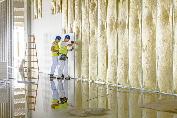 Best Eco-Friendly Insulation in Mission, KS